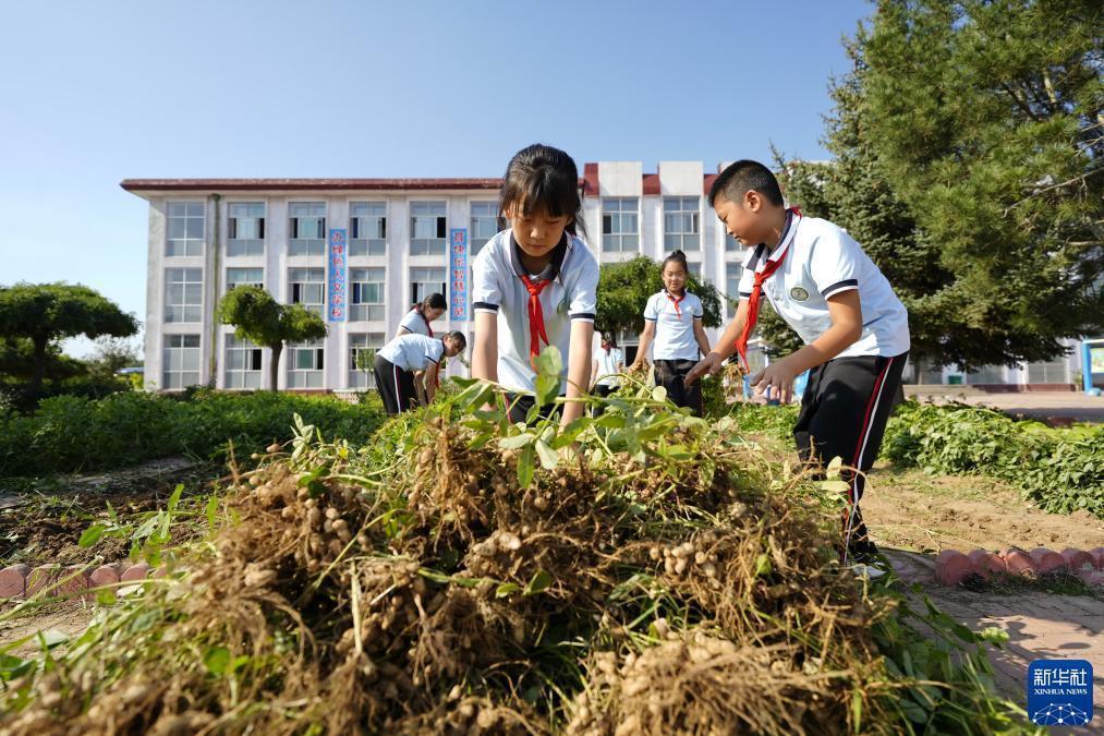 云顶集团办理大厅